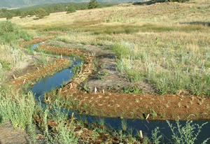 Stream restoration to promote riparian habitat and Preble's meadow jumping mouse conservation_Photo courtesy of U.S. Airforce